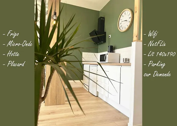 Lerelaisdodile13 - Parking - Lumineux - Hyper Centre - Tramway * Valenciennes